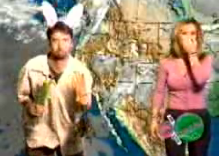 Tom Green: A Weatherman?